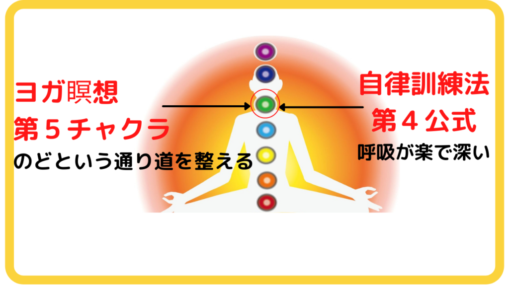 呼吸と自律訓練法第4公式と第5チャクラ