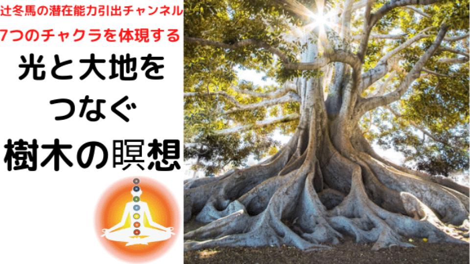 ヨガ瞑想は樹木になりきること