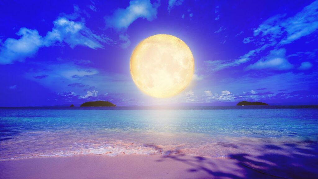 月が海面に月光の道を敷く