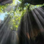 山奥の賢者